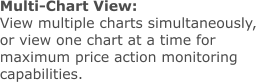 Multi-Chart View: View multiple charts simultaneously, or view one chart at a time for maximum price action monitoring capabilities.