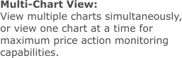 Multi-Chart View: View multiple charts simultaneously, or view one chart at a time for maximum price action monitoring capabilities.