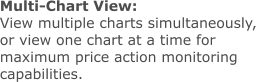 Multi-Chart View: View multiple charts simultaneously, or view one chart at a time for maximum price action monitoring capabilities.